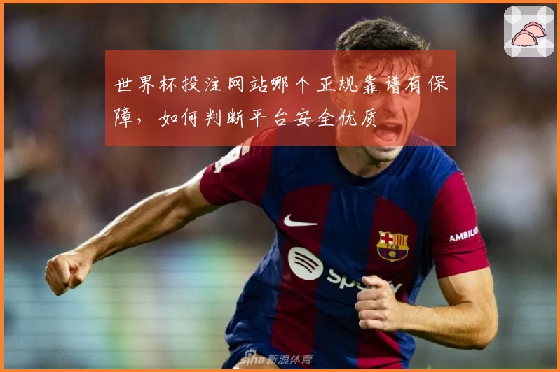 世界杯投注网站哪个正规靠谱有保障，如何判断平台安全优质