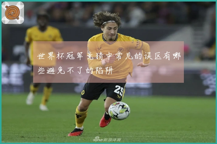 世界杯冠军竞猜中常见的误区有哪些避免不了的陷阱