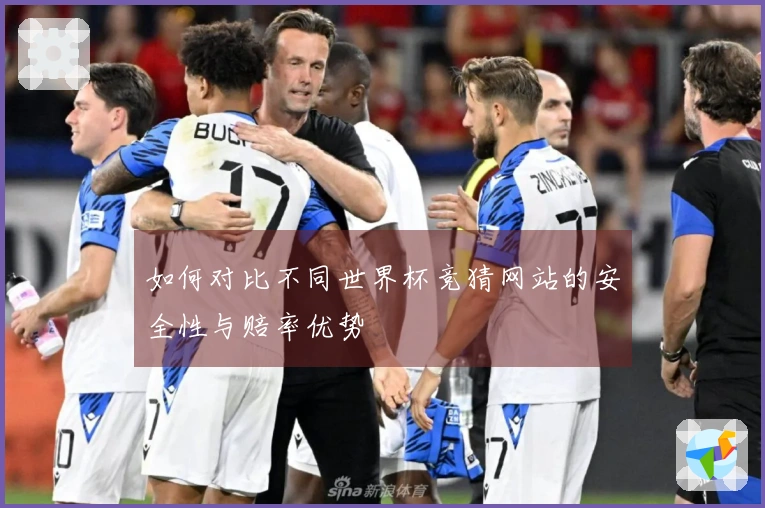 如何对比不同世界杯竞猜网站的安全性与赔率优势