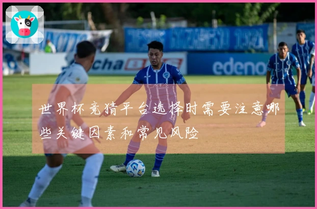 世界杯竞猜平台选择时需要注意哪些关键因素和常见风险